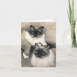 Twee furry Ragdoll Cats' Funny Meow Kaart