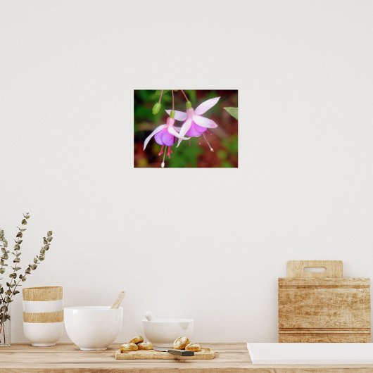 Twee Fuschia Flowers Poster (Keuken)