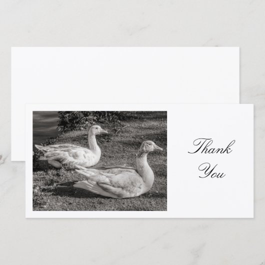 Twee ganzen - Hartelijk dank Bedankkaart (Voorkant / Achterkant)