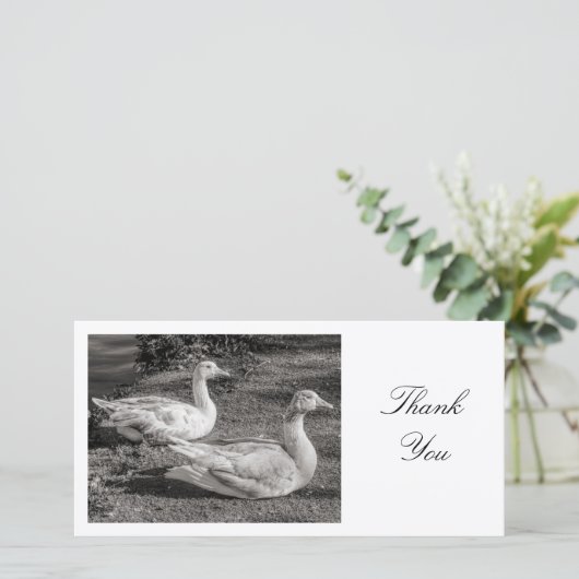 Twee ganzen - Hartelijk dank Bedankkaart (Staand voorkant)