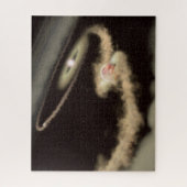 Twee gasreus-exoplaneten die om een jonge ster dra legpuzzel (Verticaal)