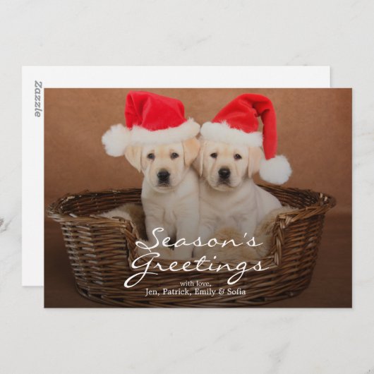 Twee Geel "puppy" van Kerstmis van het Feestdagenkaart (Voorkant / Achterkant)