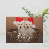 Twee Geel "puppy" van Kerstmis van het Feestdagenkaart (Staand voorkant)