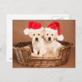 Twee Geel "puppy" van Kerstmis van het Feestdagenkaart (Voorkant / Achterkant)