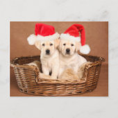 Twee Geel "puppy" van Kerstmis van het Feestdagenkaart (Voorkant)