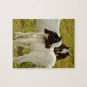 Twee geiten Cute Brown White Legpuzzel (Horizontaal)