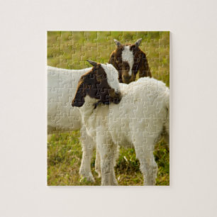 Twee geiten Cute Brown White Legpuzzel