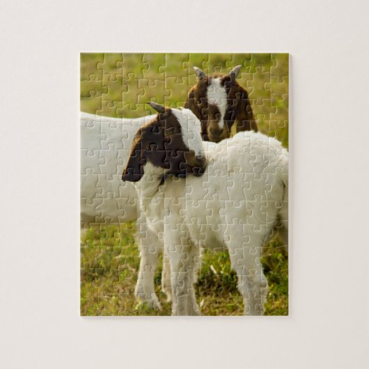 Twee geiten Cute Brown White Legpuzzel (Verticaal)