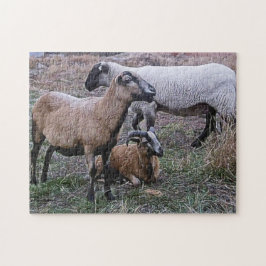 Twee geiten en een schapen legpuzzel