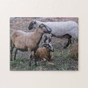 Twee geiten en een schapen legpuzzel