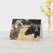 Twee geiten kaart (Gele Bloem)
