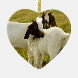 Twee geiten keramisch ornament