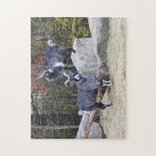 Twee geiten legpuzzel (Verticaal)