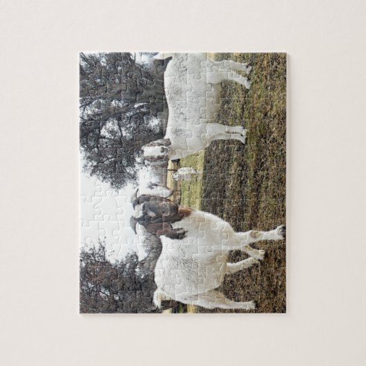 Twee geiten legpuzzel (Verticaal)