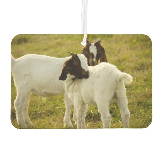 Twee geiten luchtverfrisser (Achterkant)