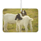 Twee geiten luchtverfrisser (Voorkant)