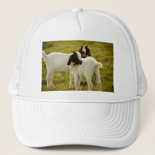 Twee geiten snuggle Cute Trucker Pet