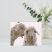 Twee Gekke geiten Briefkaart (Staand voorkant)