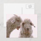 Twee Gekke geiten Briefkaart (Voorkant / Achterkant)