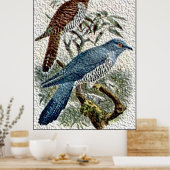Twee gekleurde Cuckoo-vogels in getextureerd Poste Poster (Keuken)