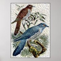 Twee gekleurde Cuckoo-vogels in getextureerd Poste