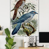 Twee gekleurde Cuckoo-vogels in getextureerd Poste Poster (Thuiskantoor)