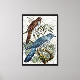 Twee gekleurde Cuckoo-vogels in getextureerde canv Canvas Afdruk