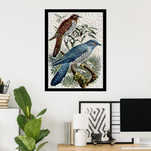 Twee gekleurde koekoeken in gestructureerde poster