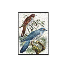 Twee gekleurde koekoeken in textuur canvas print
