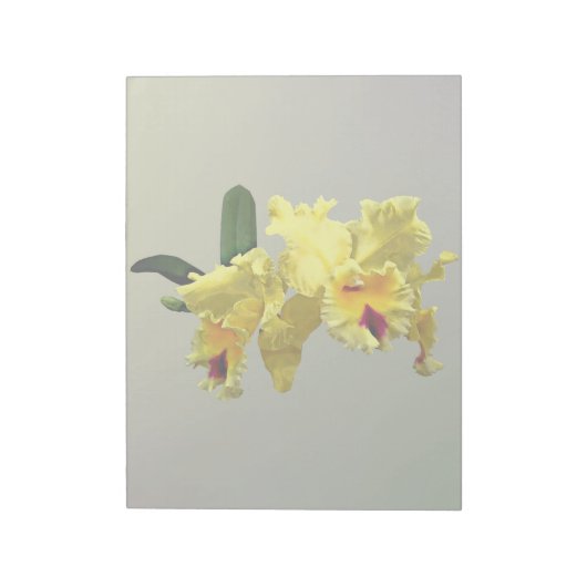 Twee Gele Cattleya Orchids Notitieblok (Linkerzijde)