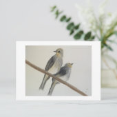 Twee gele grijze vogels Flat Dank je Kaart (Staand voorkant)