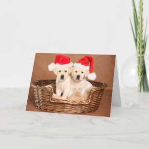 Twee gele kerstPuppies Feestdagen Kaart
