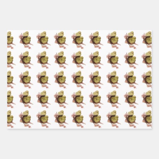 twee gele kuikens, Pasen Inpakpapier Vel (Voorkant)