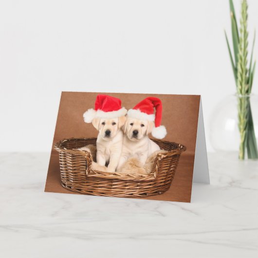 Twee Gele Lab Kerst Puppies Feestdagen Kaart (Voorkant)