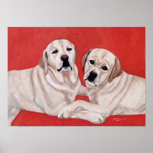 Twee gele labradors poster (Voorkant)