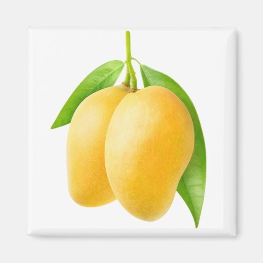 Twee gele mango-vruchten magneet (Voorkant)