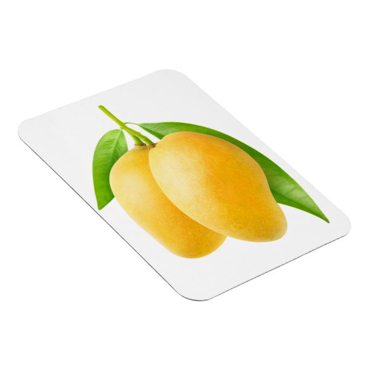 Twee gele mango-vruchten magneet (Rechterzijde)