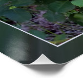 twee gele rozen poster (Hoek)