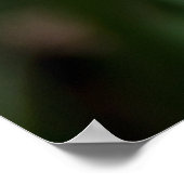 Twee gele tulpen in het veld foto poster (Hoek)