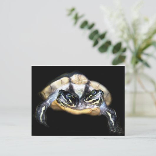 Twee-geleide Schildpad Briefkaart (Staand voorkant)