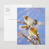 Twee gelukkige honingbijen die nectar verzamelen, briefkaart (Voorkant / Achterkant)