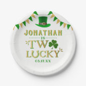 Twee gelukkige St. Patrick's Day 2e verjaardag Papieren Bordje (Voorkant)