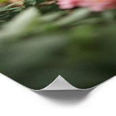 Twee gember Kittens die een weelderige tuin verken Poster (Hoek)