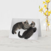 Twee geredde Kittens leeg Wenskaart Kaart (Gele Bloem)