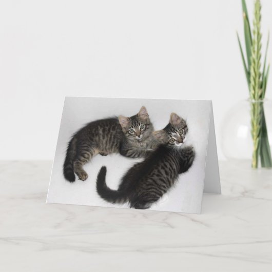 Twee geredde Kittens leeg Wenskaart Kaart (Voorkant)
