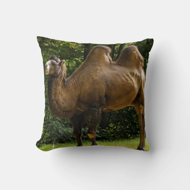 Twee gesprongen Camel Pillow Kussen (Voorkant)