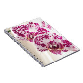 Twee gevarieerde witte en Paarse orchideeën Notitieboek (Rechterzijde)