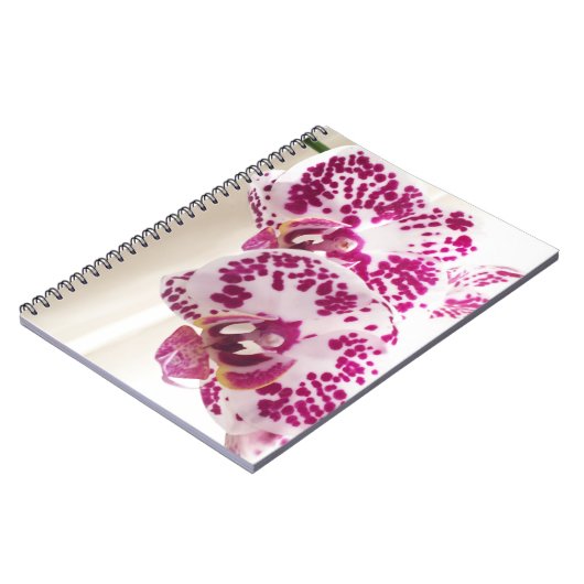 Twee gevarieerde witte en Paarse orchideeën Notitieboek (Linkerzijde)