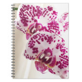 Twee gevarieerde witte en Paarse orchideeën Notitieboek (Voorkant)