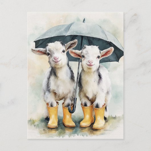 Twee gevlekte Baby-geiten op een regenachtige dag Briefkaart (Voorkant)